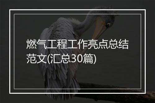 燃气工程工作亮点总结范文(汇总30篇)