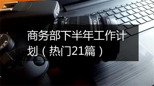 商务部下半年工作计划（热门21篇）