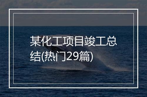 某化工项目竣工总结(热门29篇)