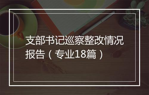 支部书记巡察整改情况报告（专业18篇）