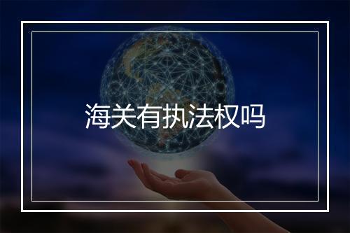 海关有执法权吗