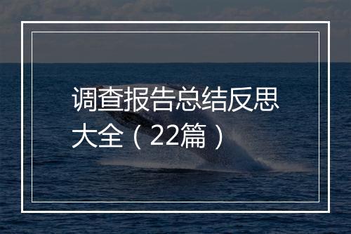 调查报告总结反思大全（22篇）
