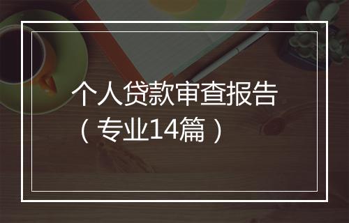 个人贷款审查报告（专业14篇）