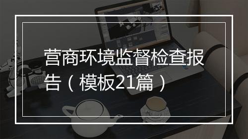 营商环境监督检查报告（模板21篇）