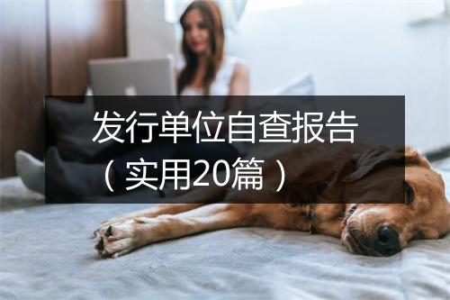 发行单位自查报告（实用20篇）