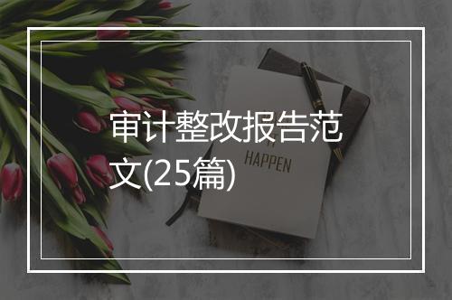 审计整改报告范文(25篇)