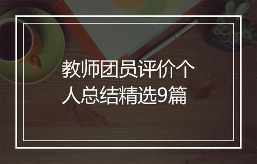 教师团员评价个人总结精选9篇