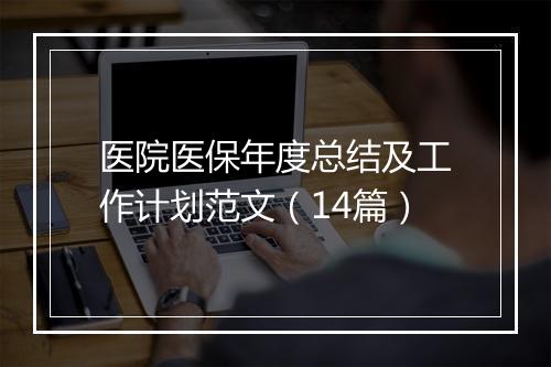 医院医保年度总结及工作计划范文（14篇）