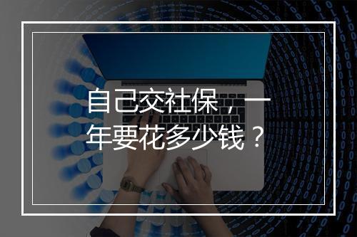 自己交社保，一年要花多少钱？