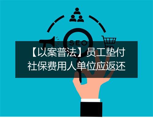 【以案普法】员工垫付社保费用人单位应返还