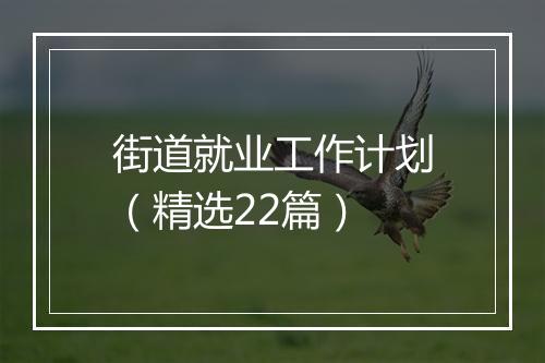 街道就业工作计划（精选22篇）
