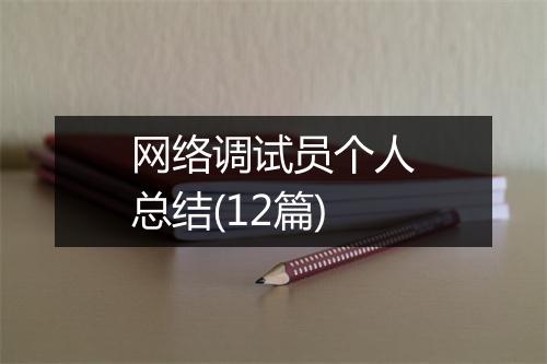 网络调试员个人总结(12篇)