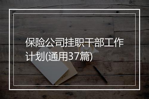 保险公司挂职干部工作计划(通用37篇)