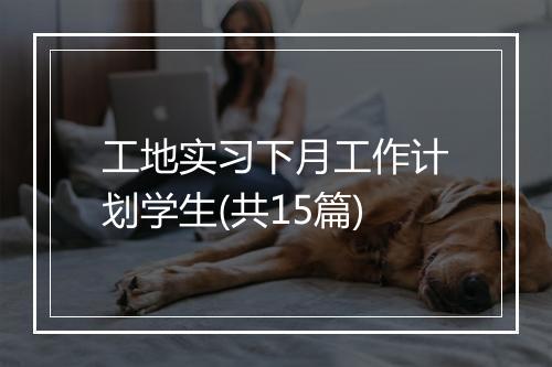 工地实习下月工作计划学生(共15篇)
