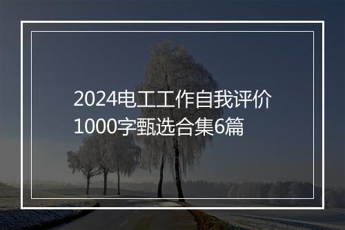 2024电工工作自我评价1000字甄选合集6篇