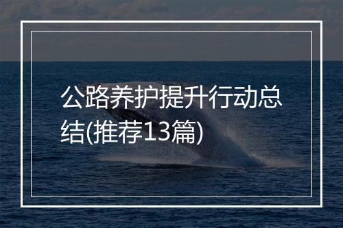 公路养护提升行动总结(推荐13篇)