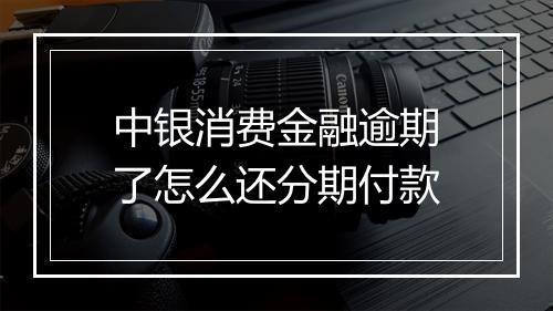 中银消费金融逾期了怎么还分期付款