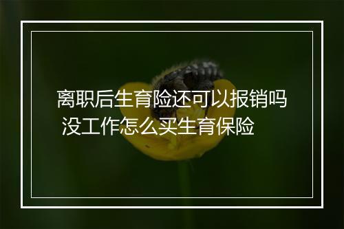 离职后生育险还可以报销吗 没工作怎么买生育保险