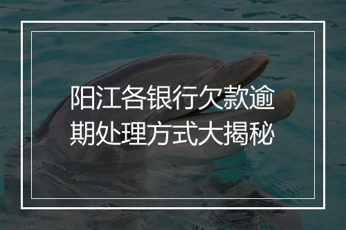 阳江各银行欠款逾期处理方式大揭秘