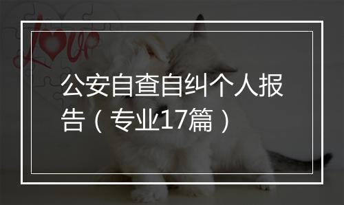 公安自查自纠个人报告（专业17篇）