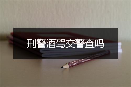 刑警酒驾交警查吗