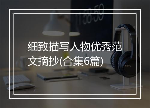 细致描写人物优秀范文摘抄(合集6篇)