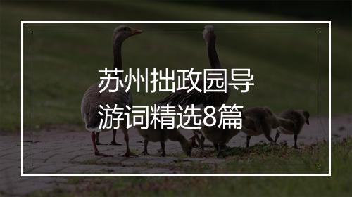 苏州拙政园导游词精选8篇