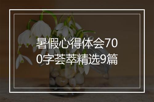 暑假心得体会700字荟萃精选9篇