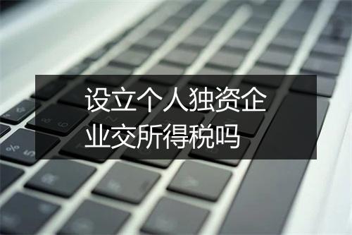 设立个人独资企业交所得税吗