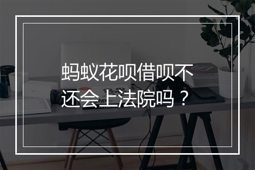 蚂蚁花呗借呗不还会上法院吗？