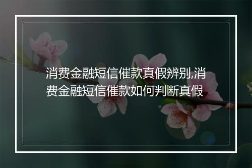 消费金融短信催款真假辨别,消费金融短信催款如何判断真假