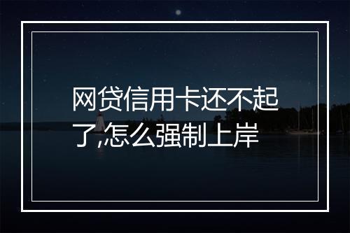 网贷信用卡还不起了,怎么强制上岸
