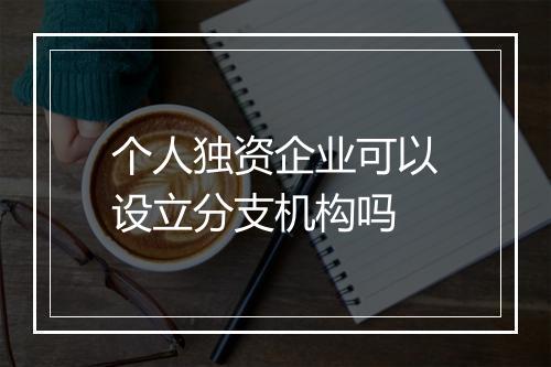 个人独资企业可以设立分支机构吗