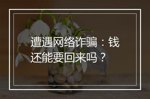 遭遇网络诈骗：钱还能要回来吗？