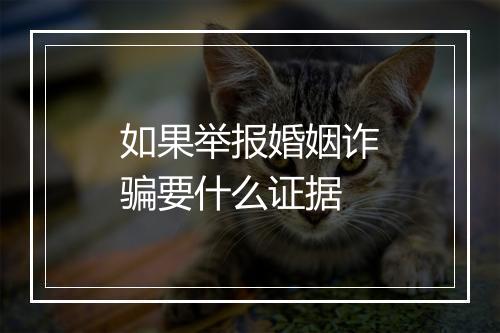 如果举报婚姻诈骗要什么证据