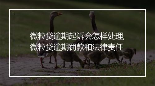 微粒贷逾期起诉会怎样处理,微粒贷逾期罚款和法律责任