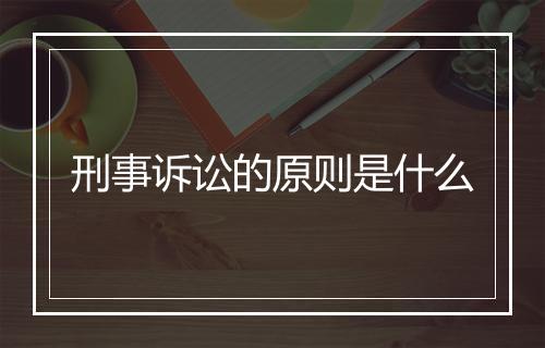刑事诉讼的原则是什么