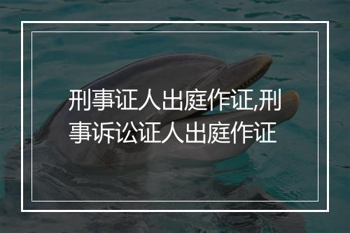 刑事证人出庭作证,刑事诉讼证人出庭作证