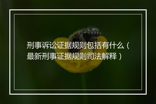 刑事诉讼证据规则包括有什么（最新刑事证据规则司法解释）