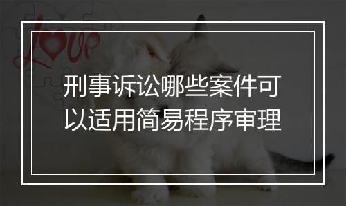 刑事诉讼哪些案件可以适用简易程序审理