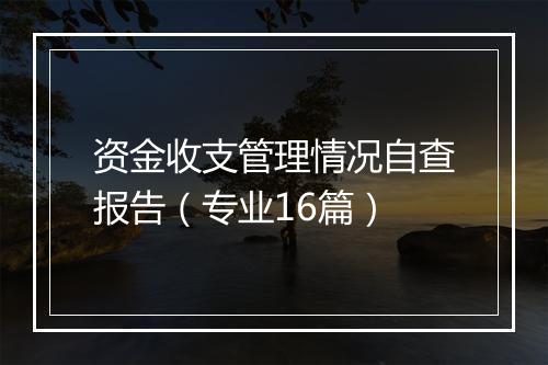 资金收支管理情况自查报告（专业16篇）