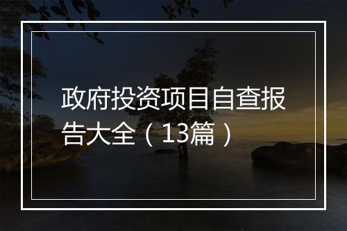 政府投资项目自查报告大全（13篇）