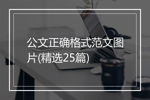 公文正确格式范文图片(精选25篇)