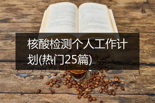 核酸检测个人工作计划(热门25篇)