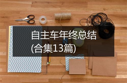 自主车年终总结(合集13篇)