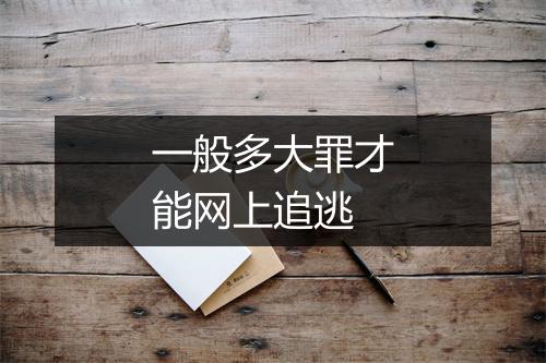 一般多大罪才能网上追逃