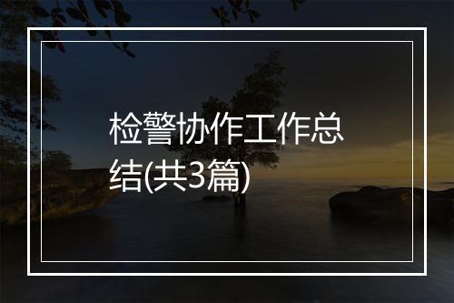 检警协作工作总结(共3篇)