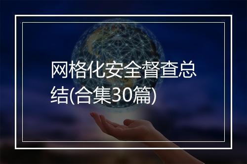 网格化安全督查总结(合集30篇)
