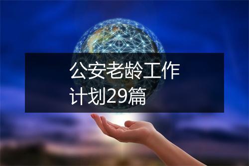公安老龄工作计划29篇
