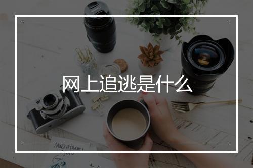 网上追逃是什么